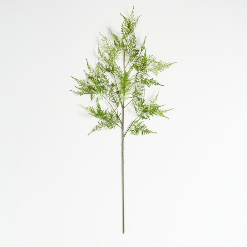 Faux Asparagus Fern Stem 50" + Reviews | Crate & Barrel | Crate & Barrel