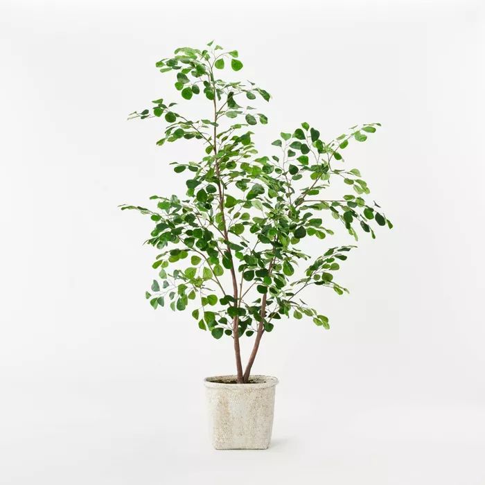 Triangle Ficus Tree - Threshold™ designed with Studio McGee | Target