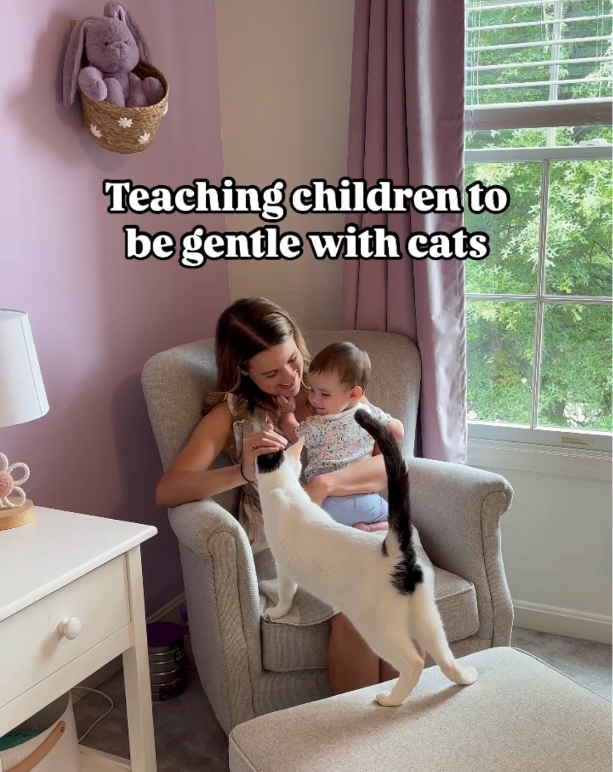 Favorite kids books about care care/reading a cat’s body language! 