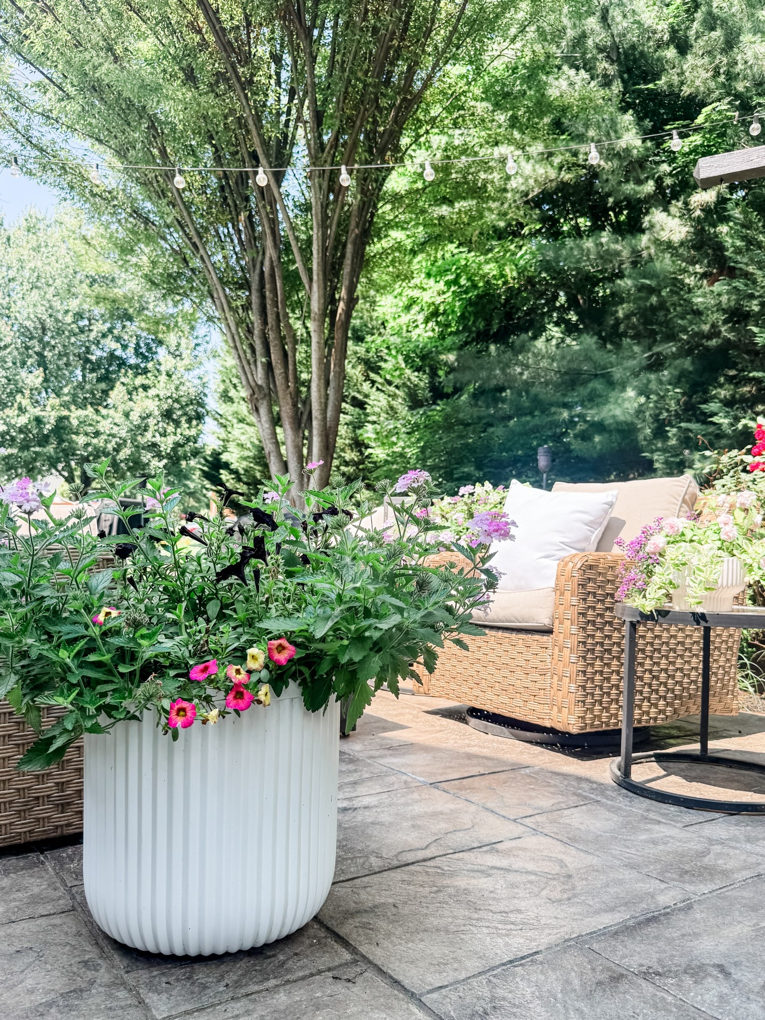 Better Homes & Gardens white plant pot planter
White ribbed planter
Pottery Barn Dupe
Outdoor planter 
Better Homes & Gardens Oaks Outdoor Swivel Gliders
Outdoor patio set
Outdoor furniture
Outdoor decor
Outdoor swivel chair
Outdoor string lights
Outdoor planter
White fluted planter
Walmart planter 

#LTKHome #LTKSeasonal #LTKStyleTip