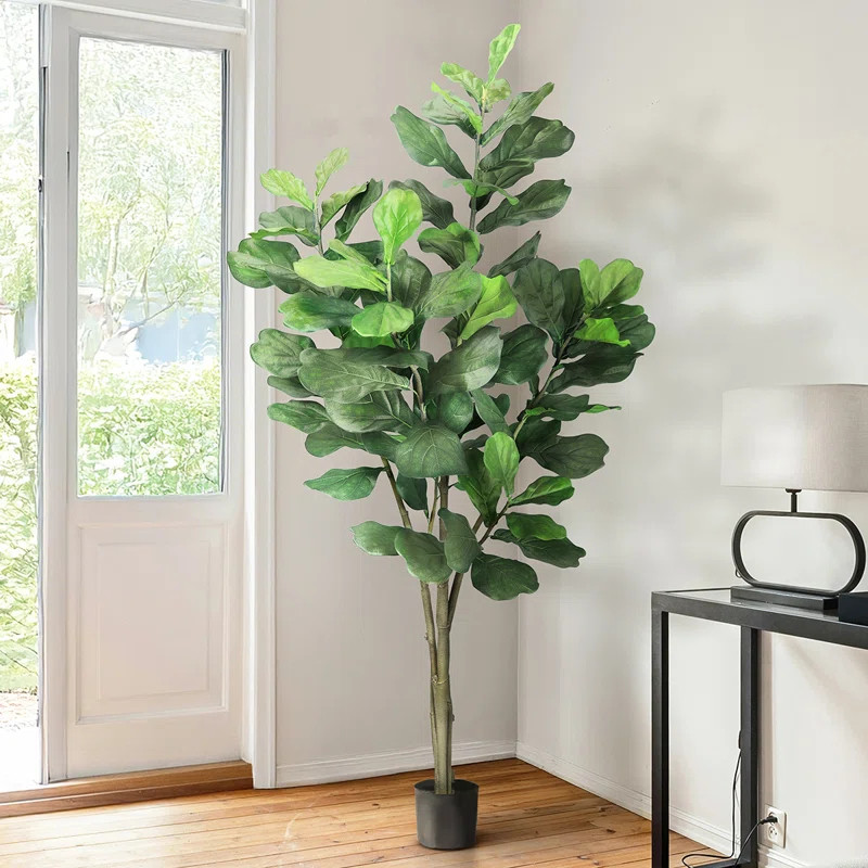 Okay real talk… why does adding a faux tree make your home feel like you have your life together?? 😭🌿 like it just does something. Joss & Main’s Black Friday in July sale has the prettiest decorative trees and Birch Lane is coming through with those soft, realistic ones too. The texture, the fullness, the height… it’s giving high-end without the price. I love how it fills awkward spaces and makes everything feel more put together instantly. Plus zero maintenance?? yeah I’m sold. This is your sign to stop overthinking and just get the tree lol.

#LTKFinds #HomeDecorInspo #FauxTree #ArtificialPlants #ModernLiving #NeutralAesthetic #InteriorDesign #DecorFinds #SaleAlert #AffordableDecor 

 #LTKSeasonal #LTKHome #LTKSaleAlert