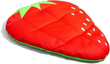 Big Joe Pool Float | Amazon (US)