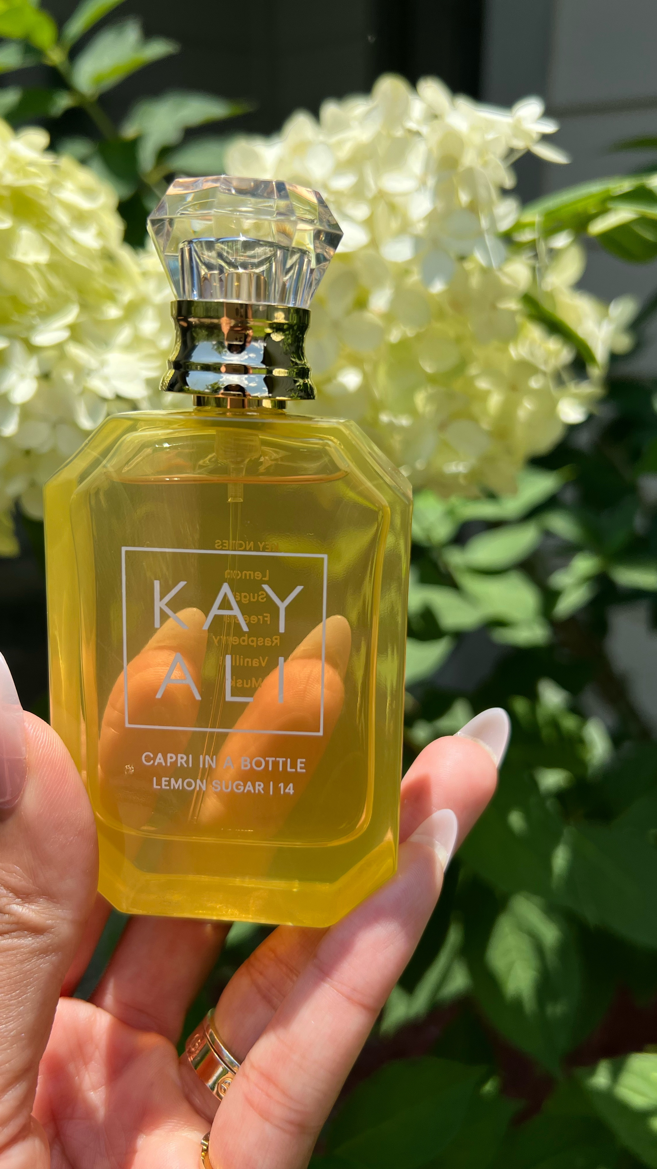 The Perfume of the Summer 



#LTKStyleTip #LTKFindsUnder100 #LTKBeauty