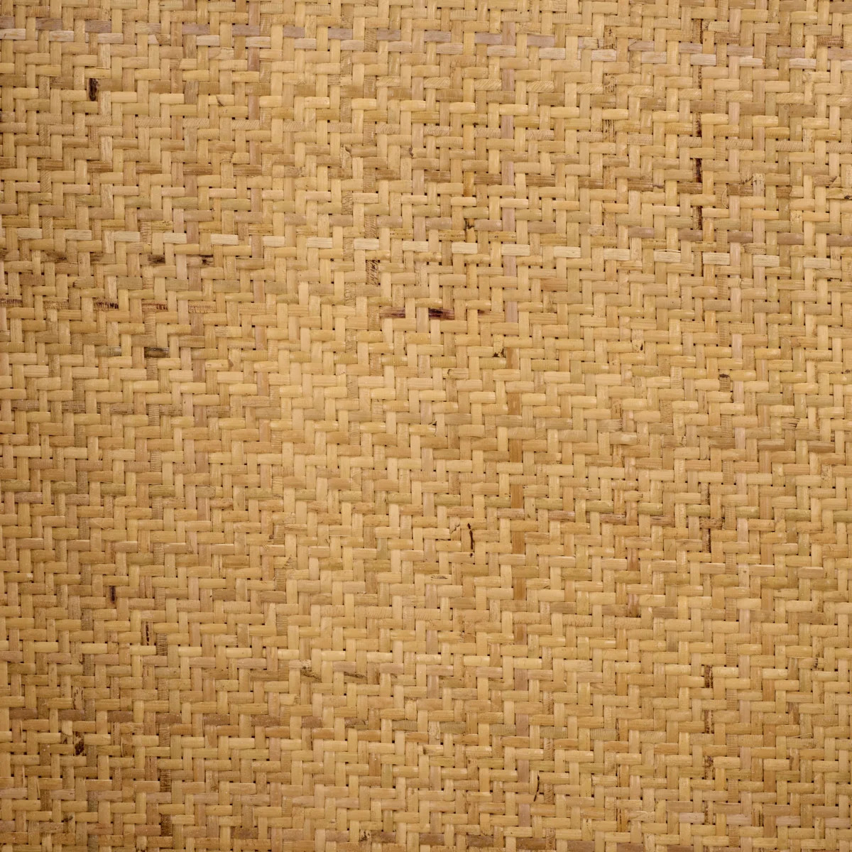 Raoul 16.3'' H Armchair | Wayfair North America