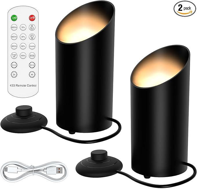Rechargeable Indoor Up Lights Portable Floor Can Lights with Spotlight Function Remote Control Ti... | Amazon (US)