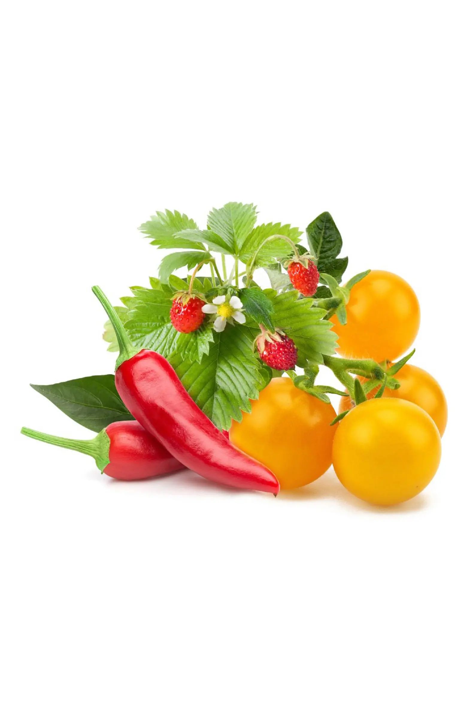 Click & Grow 9-Pack Fruit & Veggie Mix | Nordstrom | Nordstrom