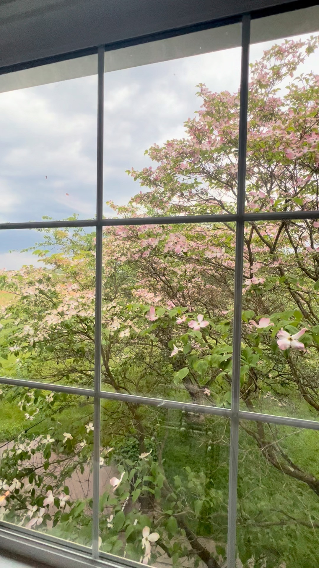 Mommy's happy place.
.
.
 

 #LTKHome