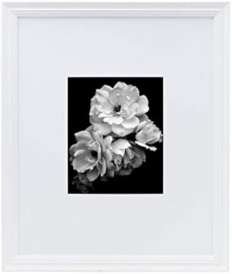 Studio Nova Picture Frame Displays 8 x 10 Photos 16 x 20 Without Mat, 16x20-Matted 8x10, White | Amazon (US)