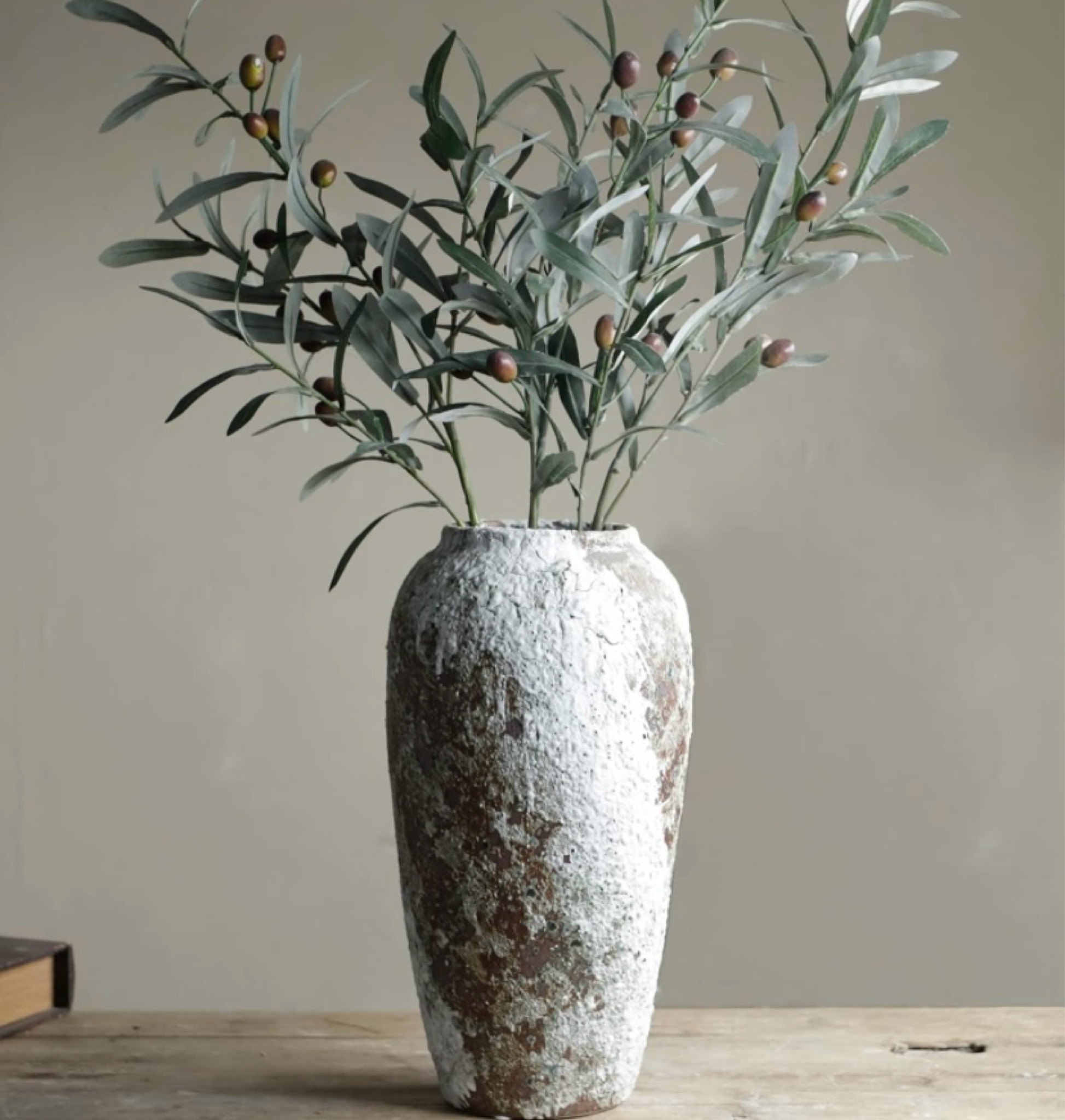 Love the texture of this beautiful vase! 

Amazon, cement, natural look, organic decor, flowers

#LTKhome #LTKfindsunder100 #LTKstyletip
