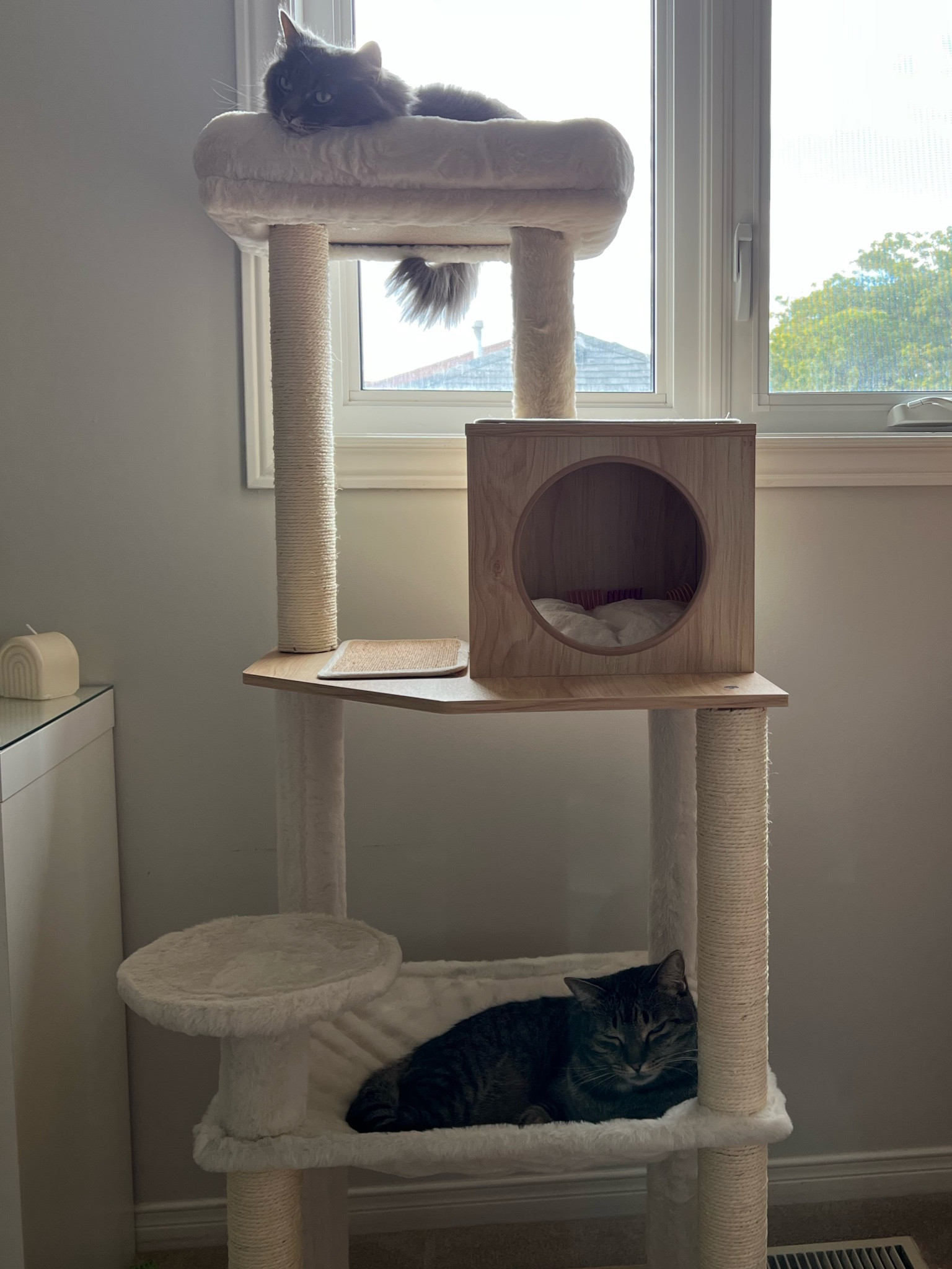 Aesthetic cat tree

#LTKhome
