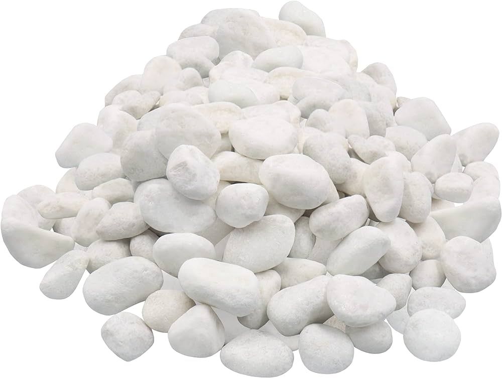Unpolished White Pebbles 10 Lb. - 1 inch Pebbles for Plants, Gardens, Fish Tank Gravel, Décor, L... | Amazon (US)