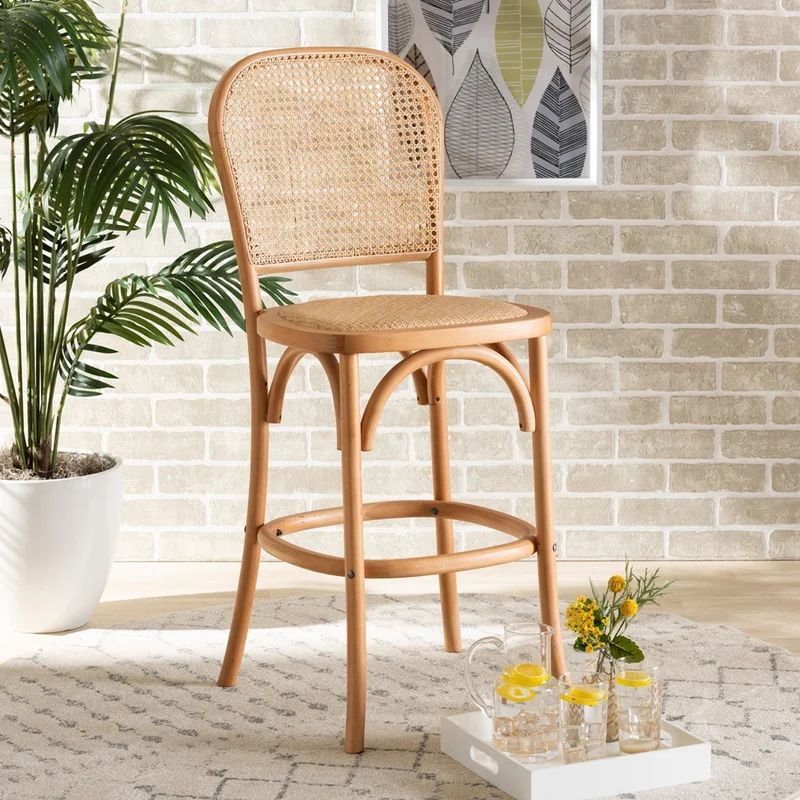 Tellier Mid-Century Modern Brown Woven Rattan And Black Wood Cane Counter Stool | Wayfair Professional