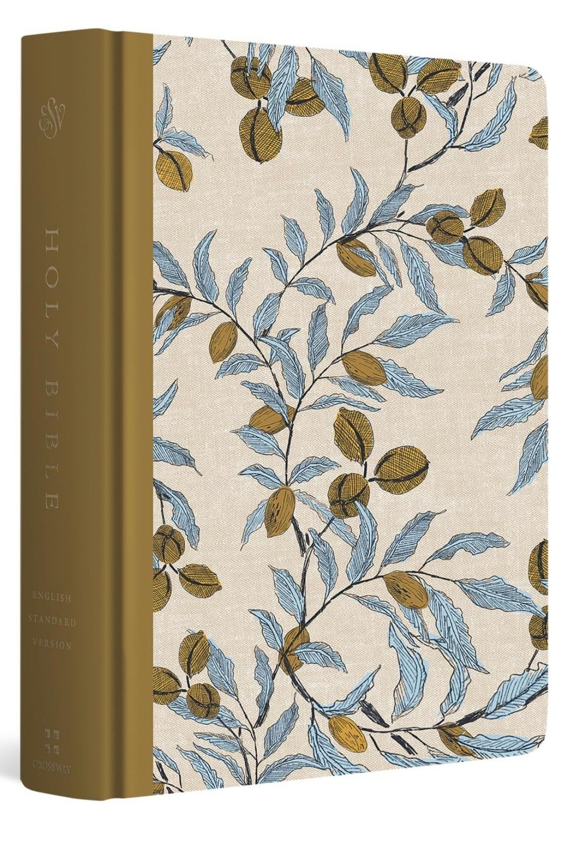 The most beautiful canvas Bible ever 💛🩵