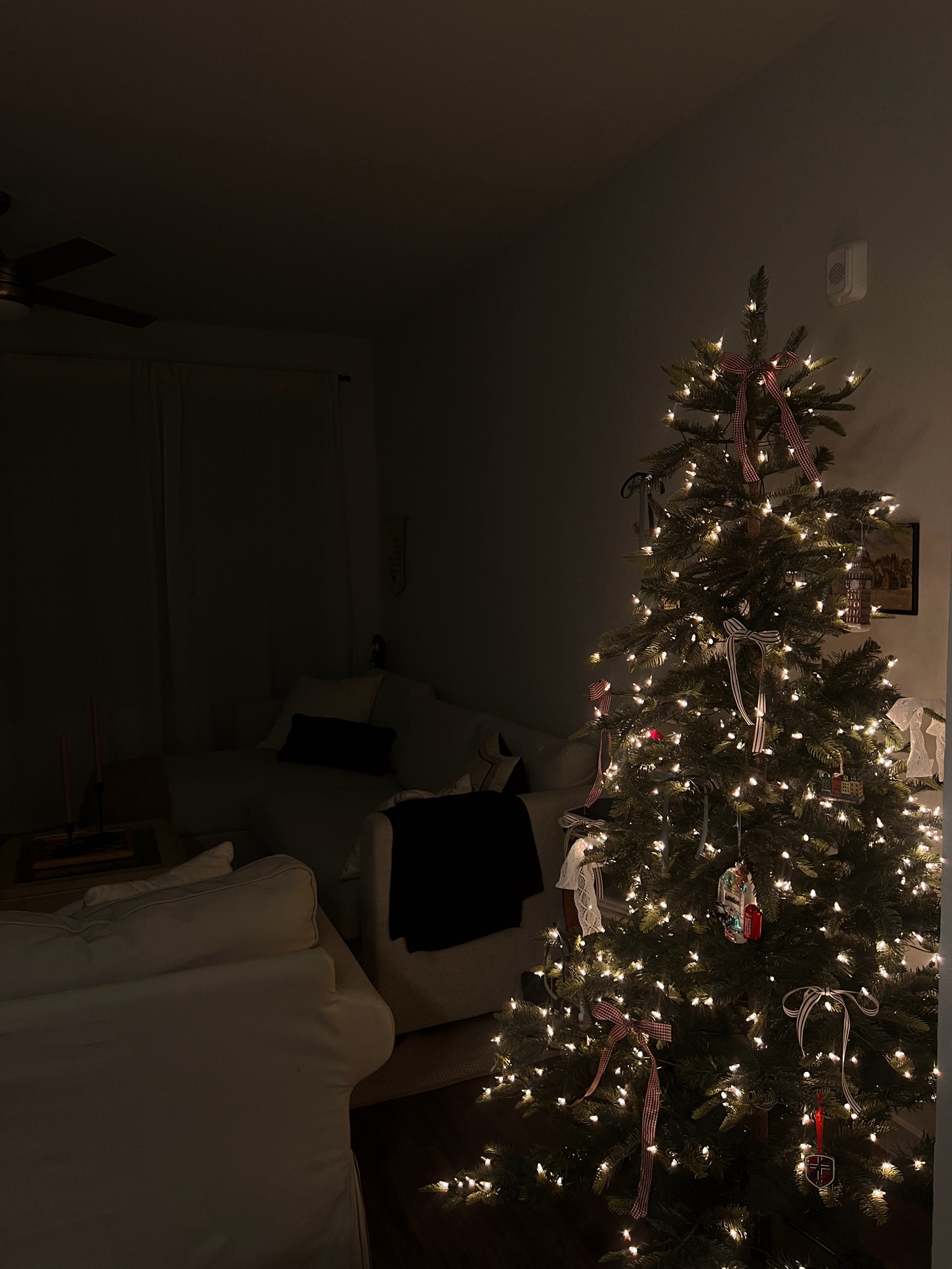 Christmas Tree 🎄🎀✨