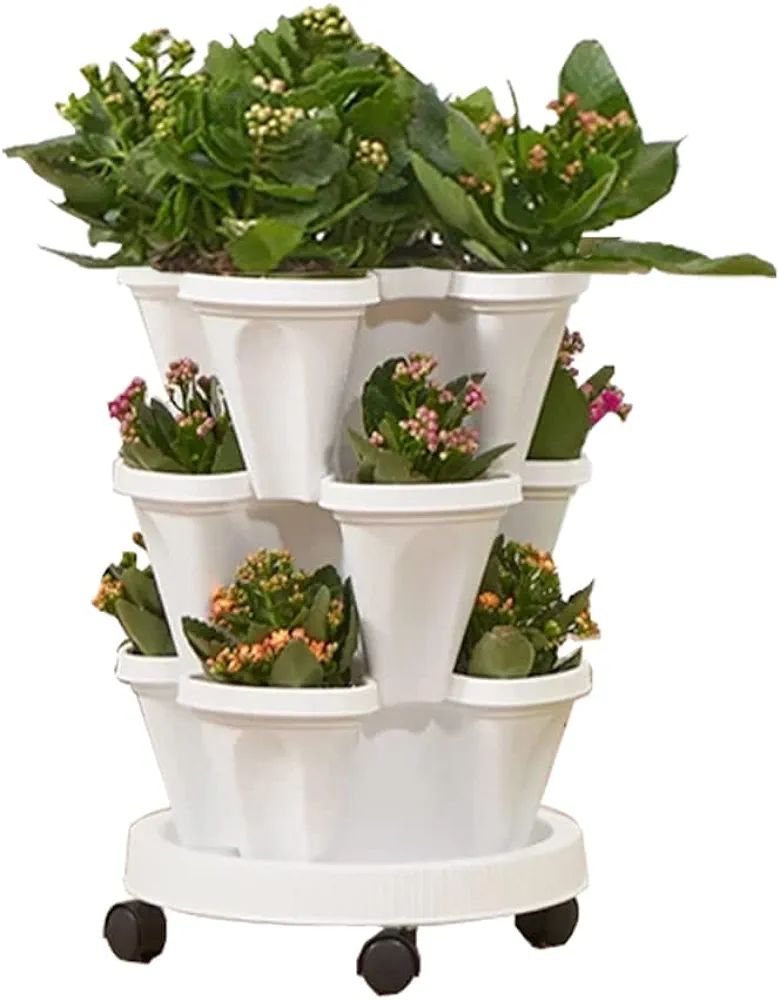 Strawberry Vertical Planters, 3 Tiered Stacking Tower Garden, Stackable Herb Vegetable Planters w... | Amazon (US)