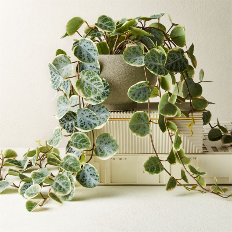 Potted Faux Eucalyptus 8" + Reviews | CB2 | CB2