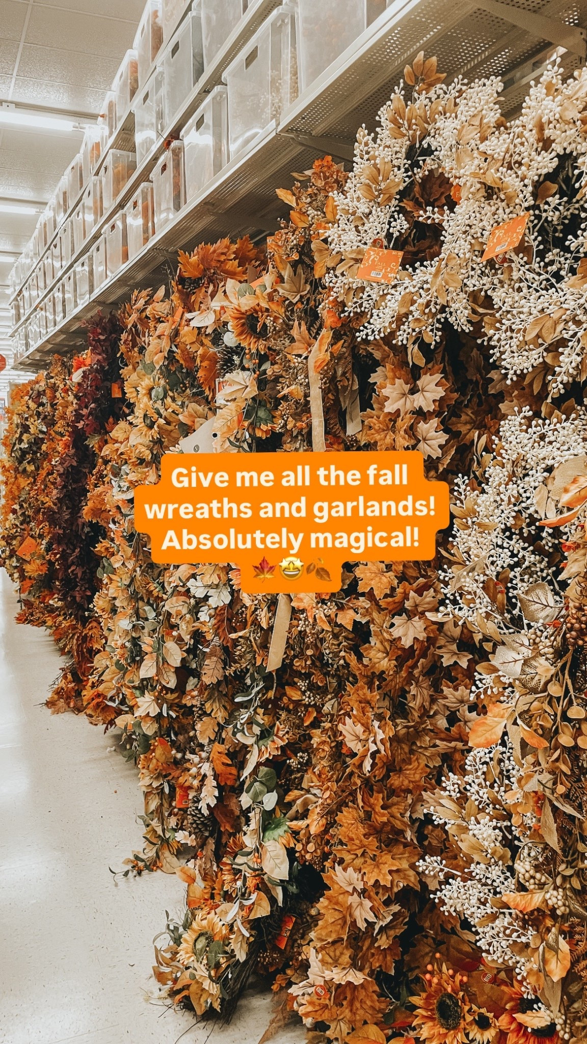 I love fall decor 🤎✨🍂🧡

#LTKautumn #LTKSeasonal #LTKHome