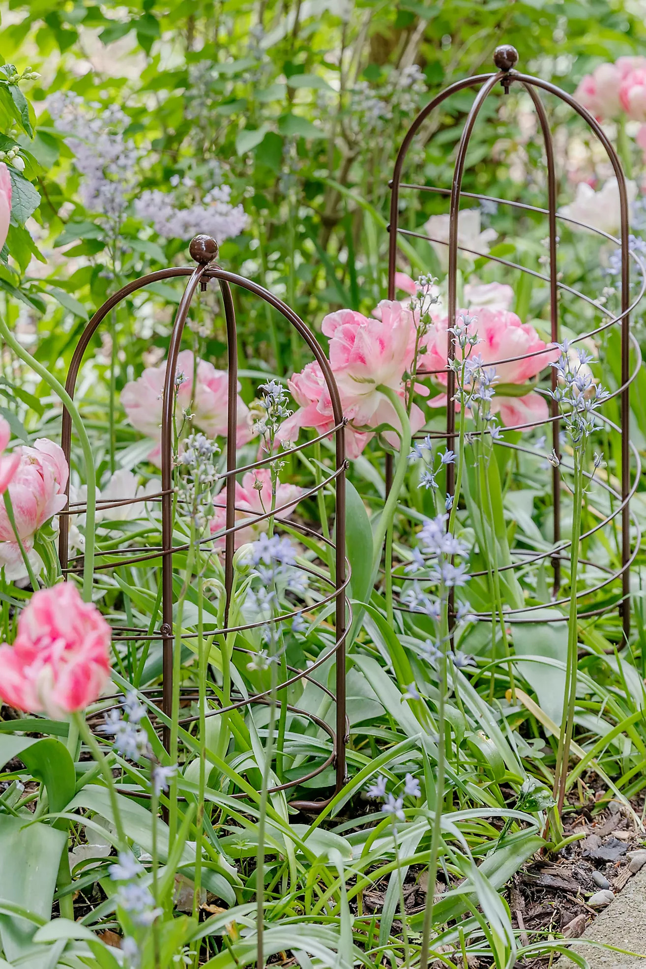 Small Outdoor Pot Plant Support | Anthropologie (UK)