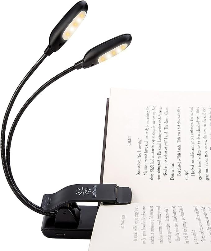 Rechargeable Warm& White 10 LED book light/music stand light, Easy Clip-on Reading in Bed at nigh... | Amazon (US)