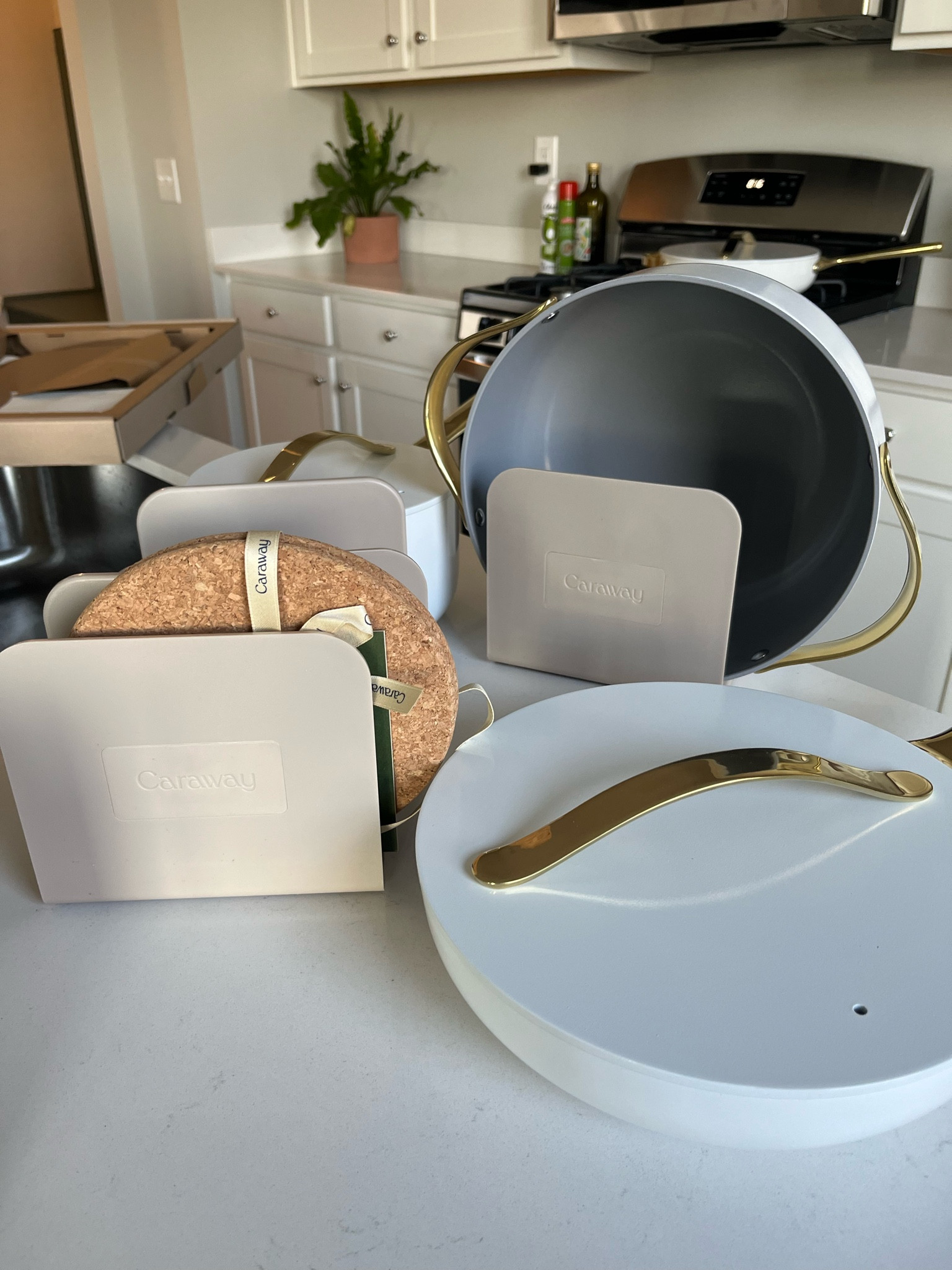 Caraway pan set
Gorgeous and non toxic and non stick 

Great gift idea!

#LTKhome #LTKGiftGuide