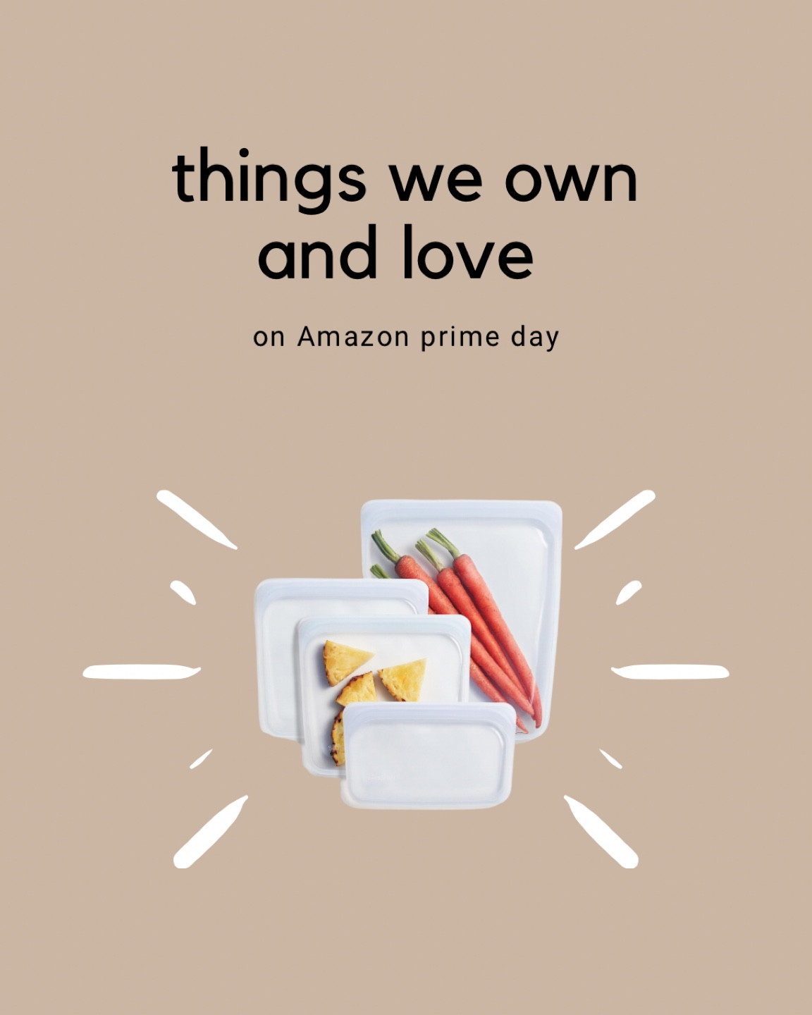 We use these stasher bags for everything!

#LTKhome #LTKfamily #LTKxPrimeDay