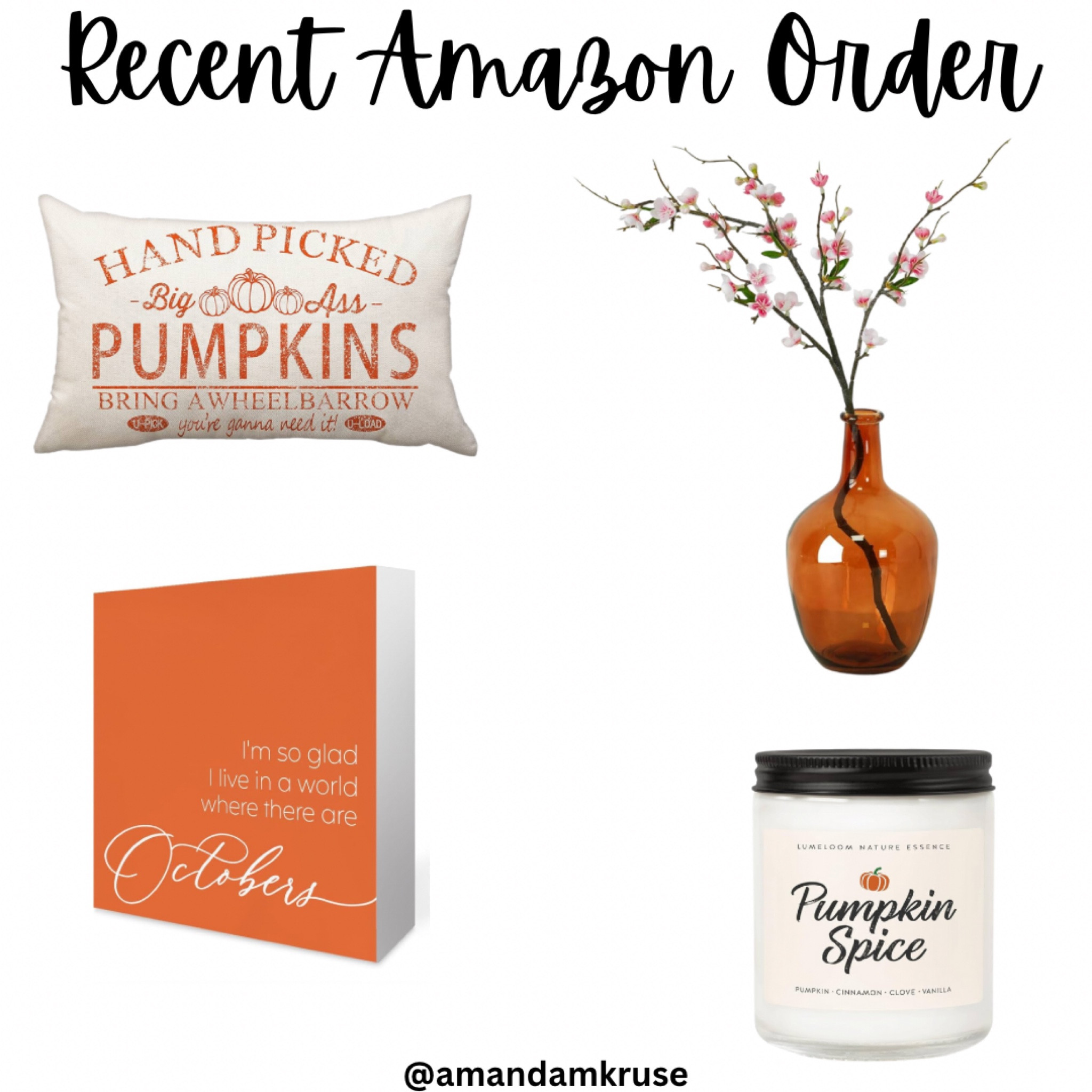 Recent Amazon order 

Fall decor, fall pillow case, fall sign, fall candle, Amazon fall decor 

#LTKHome #LTKSeasonal #LTKFindsUnder50