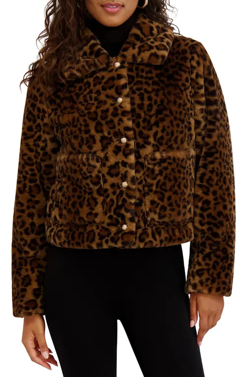 Kensie Leopard Print Faux Fur Short Jacket in Brown Leop at Nordstrom, Size Small | Nordstrom