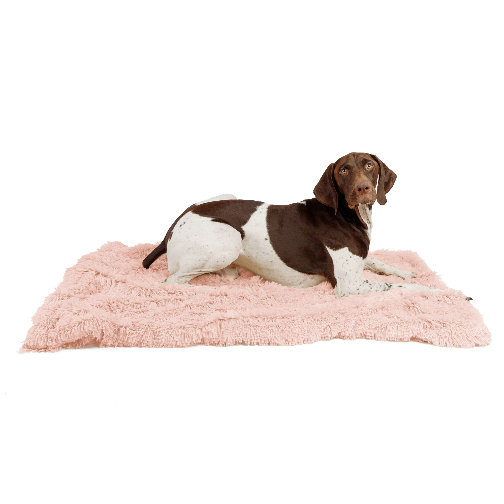 Best Friends by Sheri Shag Throw Cat & Dog Blanket | PetSmart