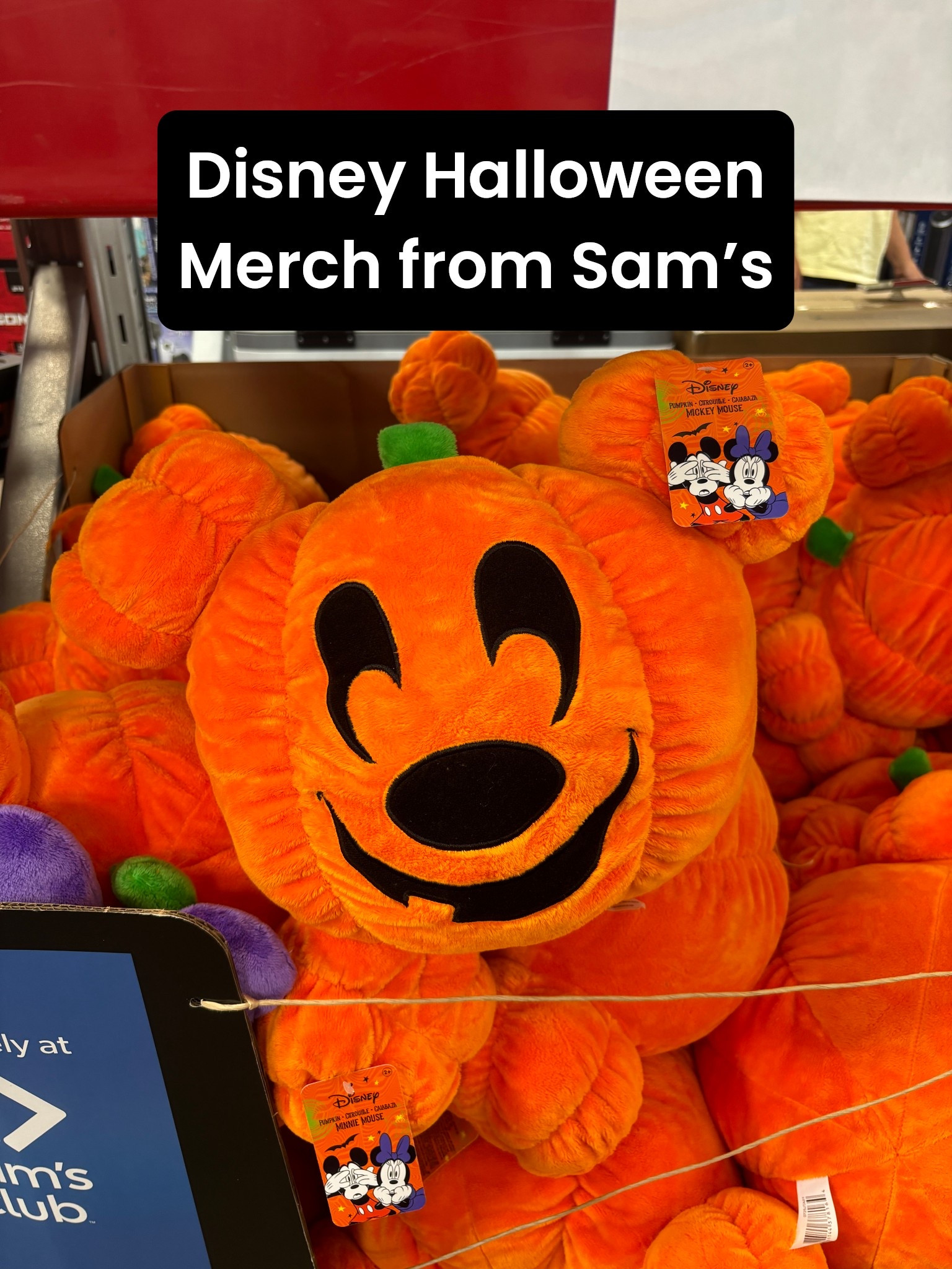 Disney Halloween merch and decorations from Sam’s Club! These are adorable Mickey pumpkin pillows and Halloween costumes!

#LTKHome #LTKSeasonal #LTKFamily