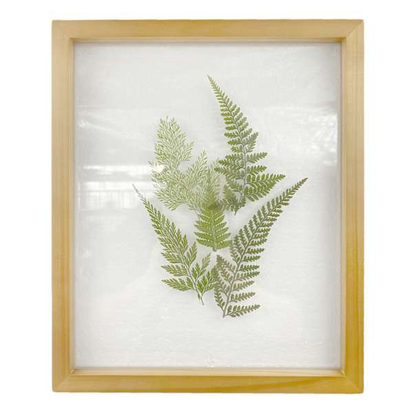 Glass Framed Botanical Wall Art, 10x12 | At Home