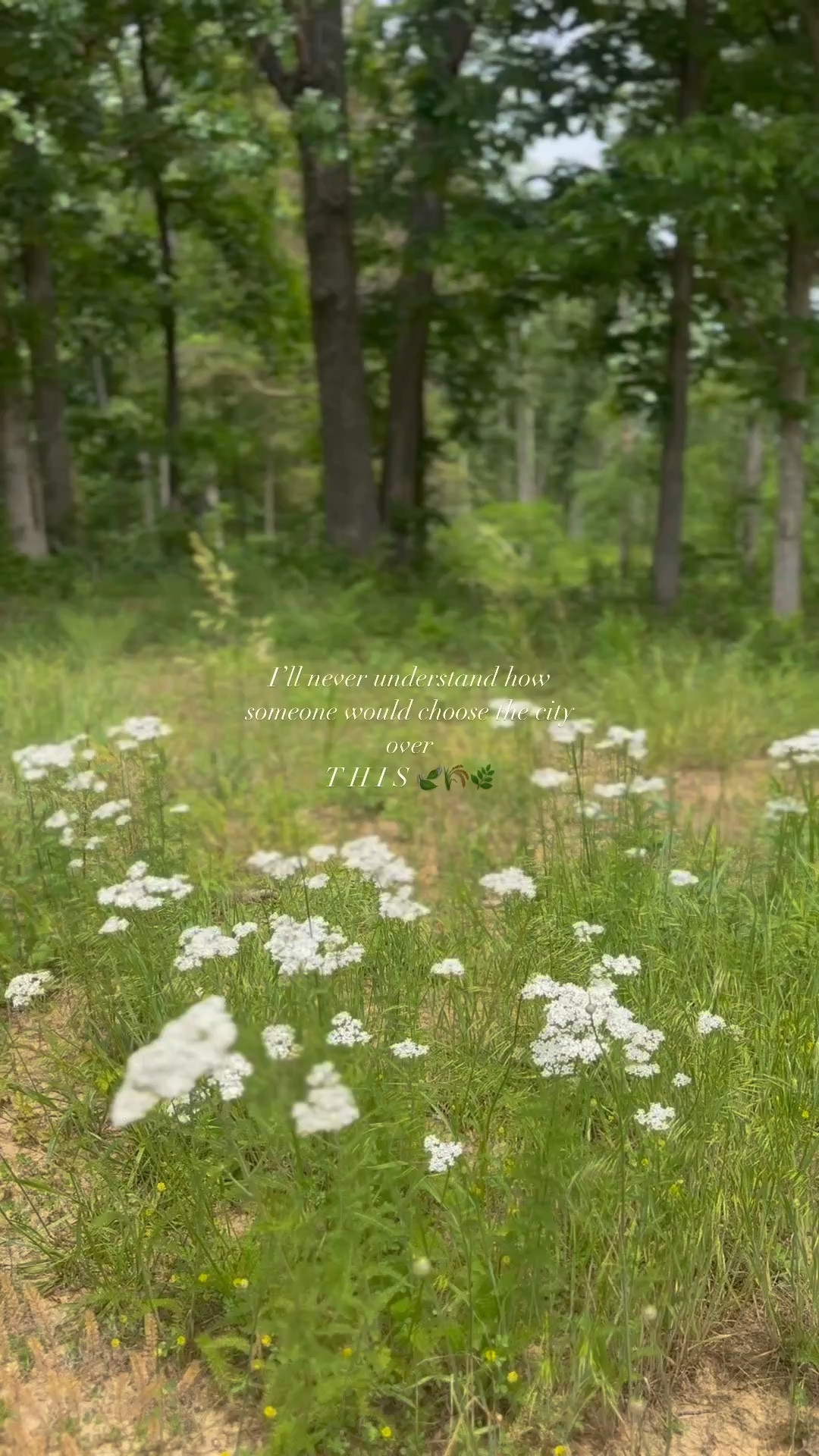 just so peaceful and serene here 🥹🌾🌿🍃 #countryliving #summervibes #springblooms

#LTKU #LTKSummerEdit #LTKFamily