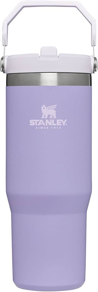 STANLEY IceFlow Stainless Steel Tumbler with Straw, Vacuum Insulated Water Bottle for Home, Offic... | Amazon (US)
