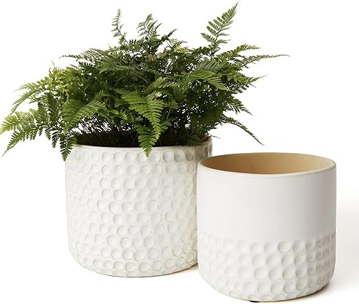La Jolie Muse Ceramic Planter - 6.7+5.5 Inch Concave Dot Patterned Cylinder Flower Pot W/ Drain H... | Amazon (US)