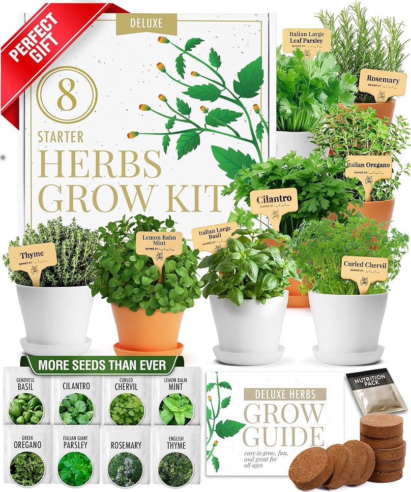 HOME GROWN Deluxe 8 Herb Garden Kit – Best Gifts for Women, Unique Christmas Gardening Present ... | Amazon (US)