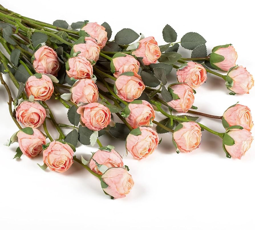 DuHouse 24pcs Artificial Vintage Roses Mini Silk Rose with Stem Fake Rose Bouquets for Arrangemen... | Amazon (US)