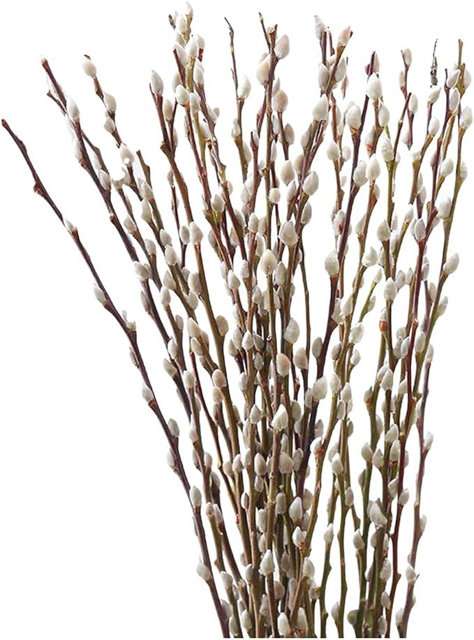 30 Pcs Pussy Willow Branches for Vases,Natural Dried Plants Decorative,Dry Branches for Wedding H... | Amazon (US)