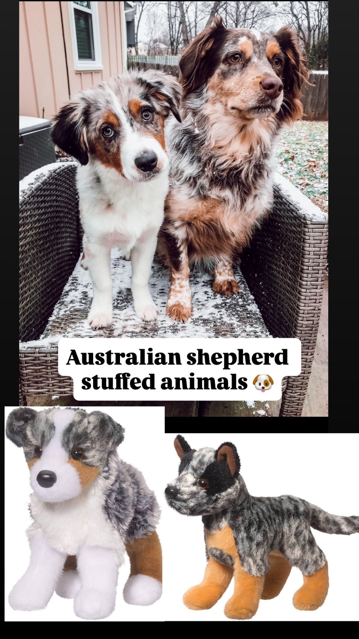 We have an Australian shepherd and my almost 5 year old son has been begging for a stuffy that looks like him and our other one who passed 🥹🥺 there’s so many adorable options!!! 

#LTKGiftGuide #LTKHoliday #LTKCyberWeek