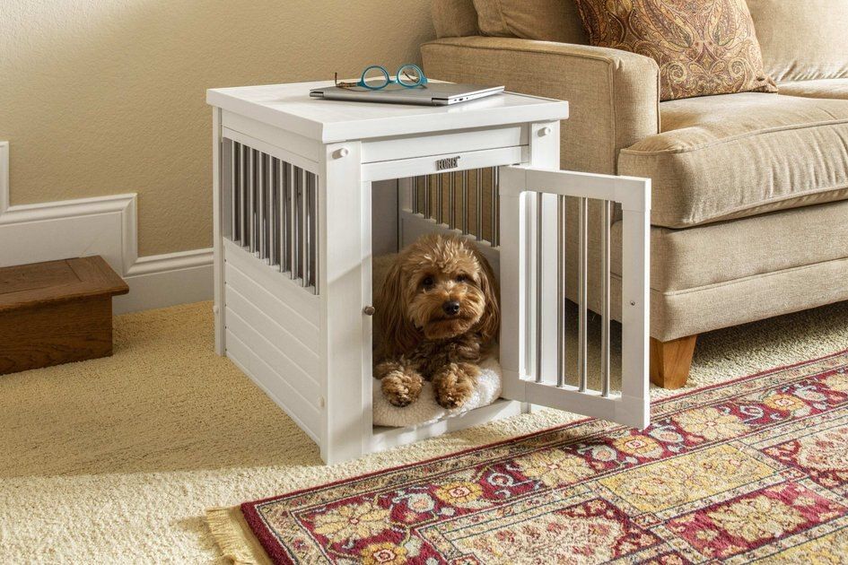 New Age Pet ecoFLEX Single Door Furniture Style Dog Crate & End Table, Antique White, 23 inch | Chewy.com