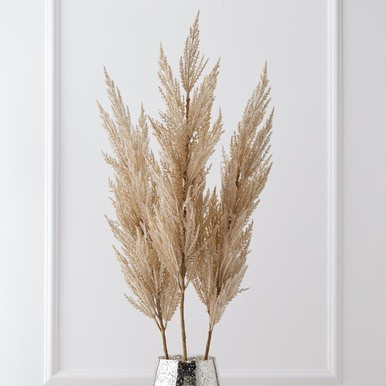 Pampas Grass - Set Of 3 | Zgallerie | Z Gallerie