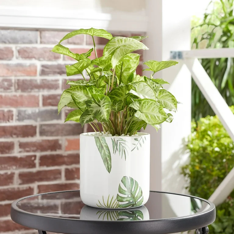 Mainstays 5.9”D x 5.9”H Round Ceramic Green Leaves Planter, White | Walmart (US)