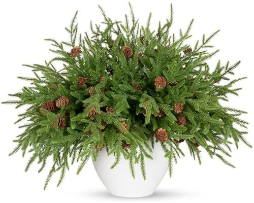 18" Real Touch Christmas Norfolk Pine Stems with Real Pine Cones,Natural Droopy Soft Bendable Art... | Amazon (US)