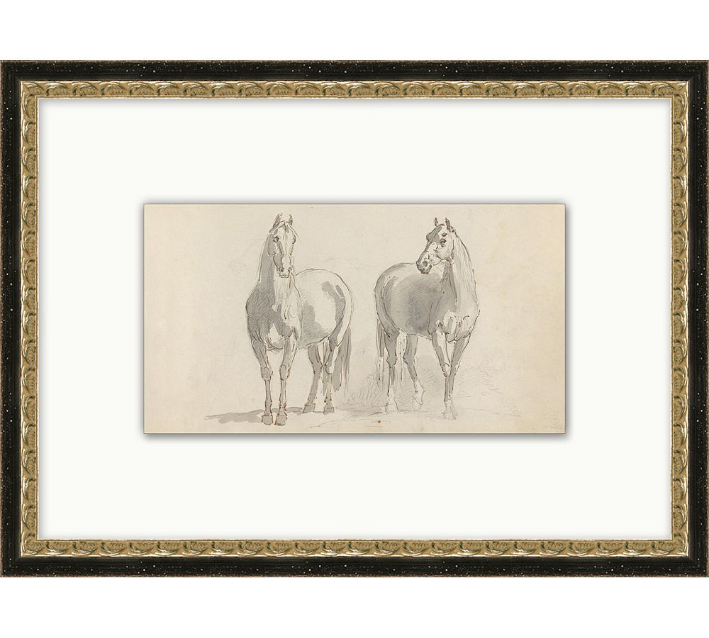 Sketched Horses Framed Print | Pottery Barn (US)