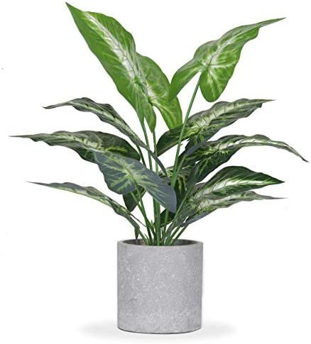 JC nateva 16" Small Fake Plants Artificial Potted Faux Plants for Office Desk Shelf Bathroom Home... | Amazon (US)