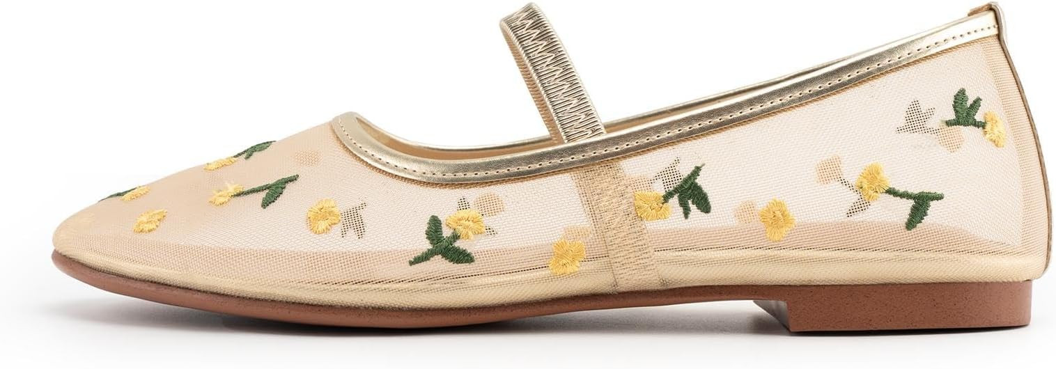 Mesh Ballet Flats for Women Floral Embroidered Mary Jane Flats Shoes Round Toe Slip On Tulle Comf... | Amazon (US)