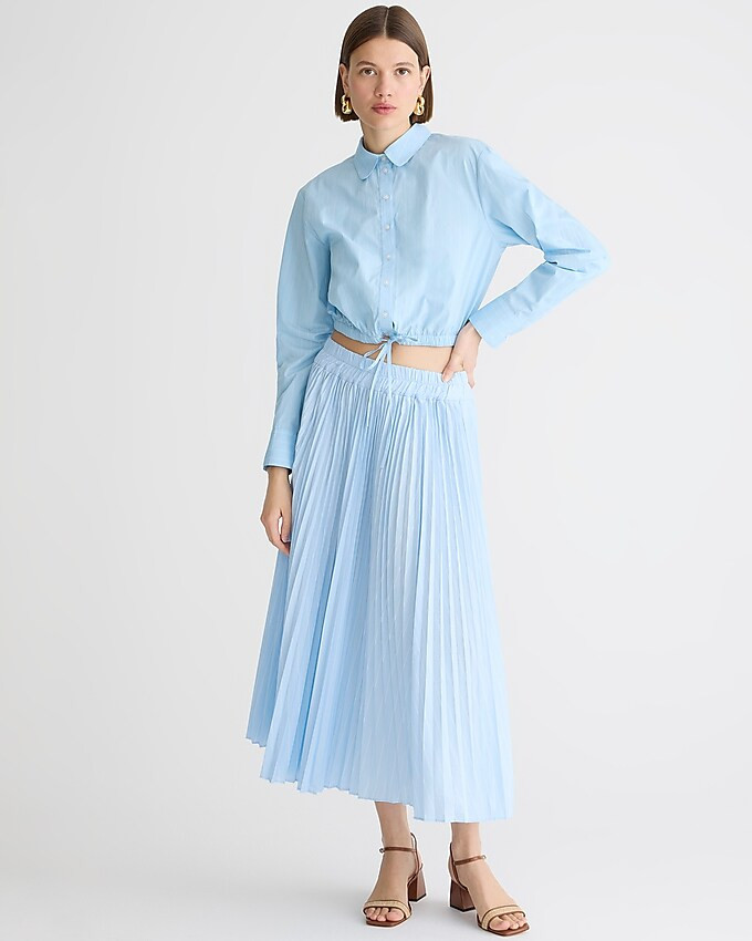 Gwyneth pleated skirt in stripe | J. Crew US
