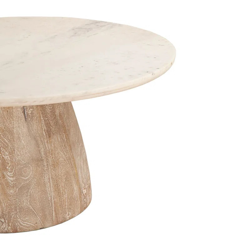Evylene Marble Top Coffee Table | Wayfair North America