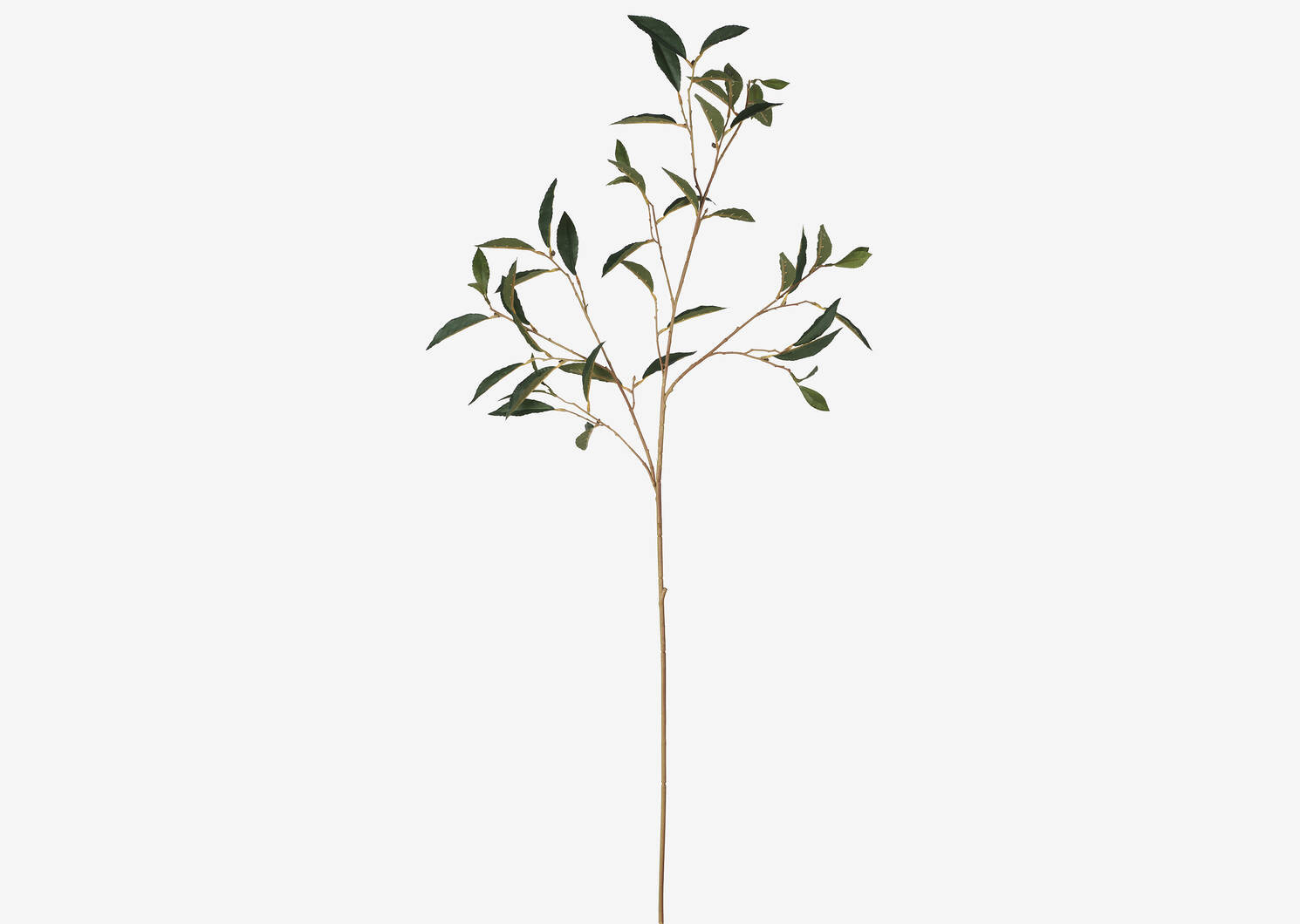 Elena Laurel Spray Branch | Urban Barn