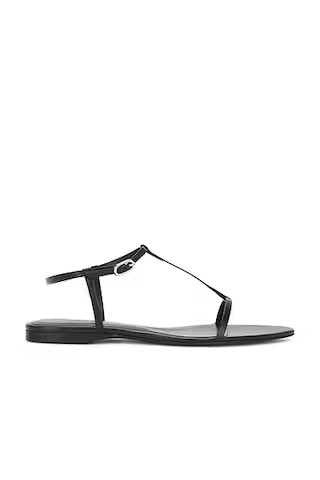 Rene Sandal | FWRD 
