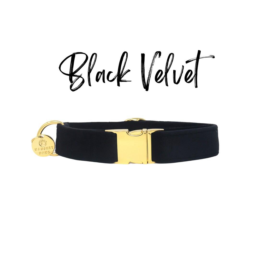 Black Velvet Dog Collar, Formal Martingale or Flat, Soft & Custom Fit for Girl or Boy Dogs | Eleg... | Etsy (US)