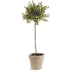 Napa Home & Garden Thyme Topiary 13" | Amazon (US)